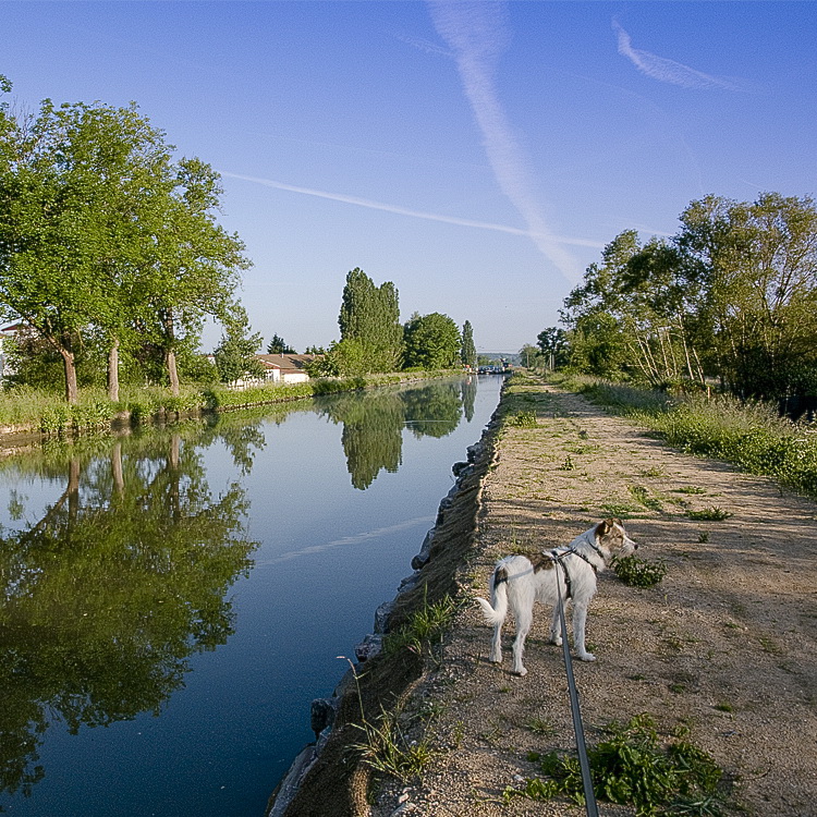Provence 2014 +20140531_0782 als Smart-Objekt-1 Kopie.jpg - Spaziergang am Kanal in Bracon